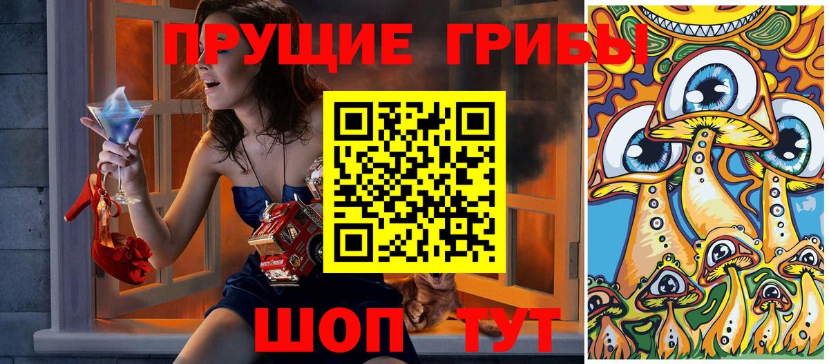 Губкинский  Псилоцибиновые грибы мухоморы  Вход с VPN 